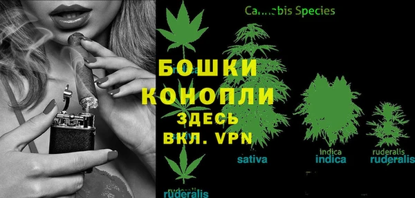винт Балахна