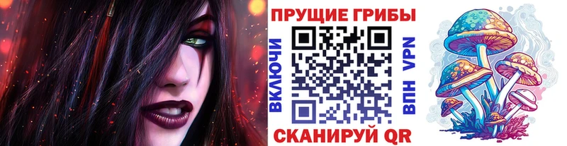 Псилоцибиновые грибы MAGIC MUSHROOMS  продажа наркотиков  Белоозёрский 